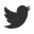 icon social Twitter